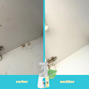 Vorschaubild Twin Power intensiv 2 x 0,4L + Sprüher