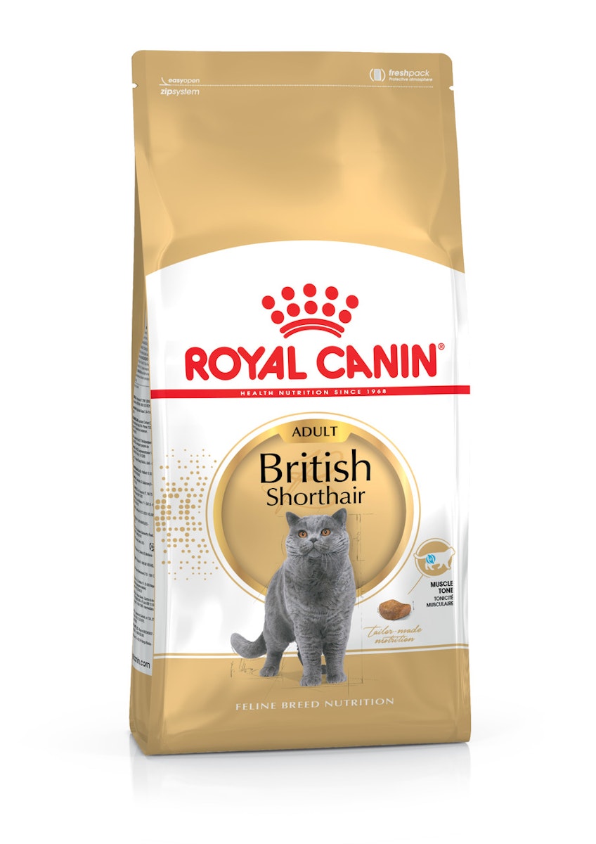 ROYAL CANIN FBN British Shorthair Adult Katzentrockenfutter 10 Kilogramm ROYAL CANIN FBN British Shorthair Adult Katzentrockenfutter 10 Kilogramm