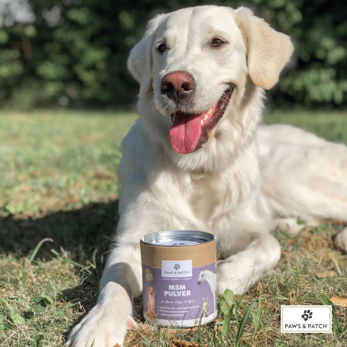 Paws&Patch MSM PULVER 250g