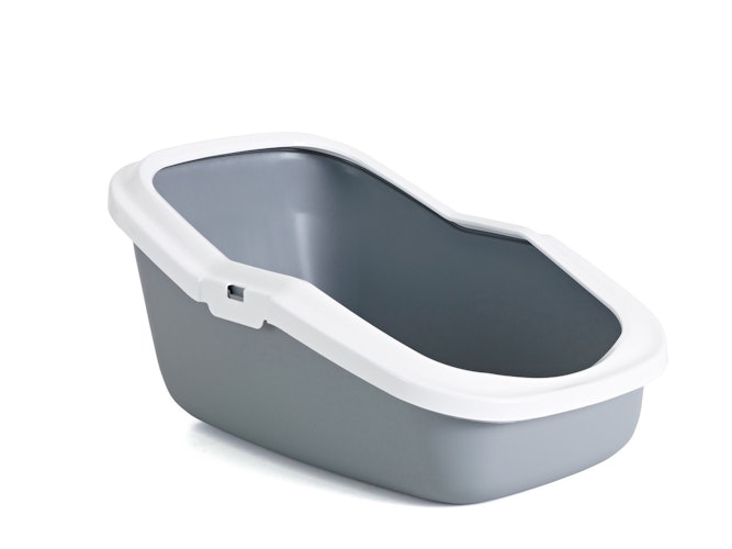SAVIC Katzentoilette Aseo mit Rand grau