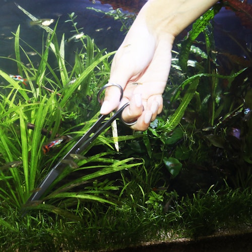 JBL ProScape Tool S 30 curved Aquarienpflege