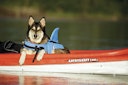 Vorschaubild NOBBY Hunde Schwimmhilfe "Sharki"
