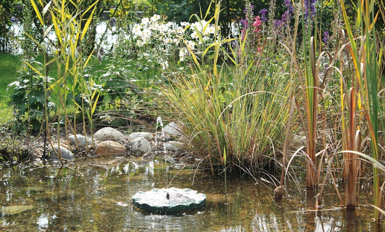 Pontec Solar-Fontäne PondoSolar Lily Island