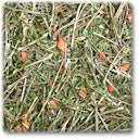 Vorschaubild JR FARM Möhrenkraut 100g Raufuttermittel für Kleintiere