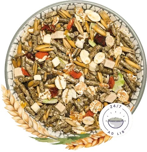 Bunny FarbmausTraum 500g Kleintierfutter