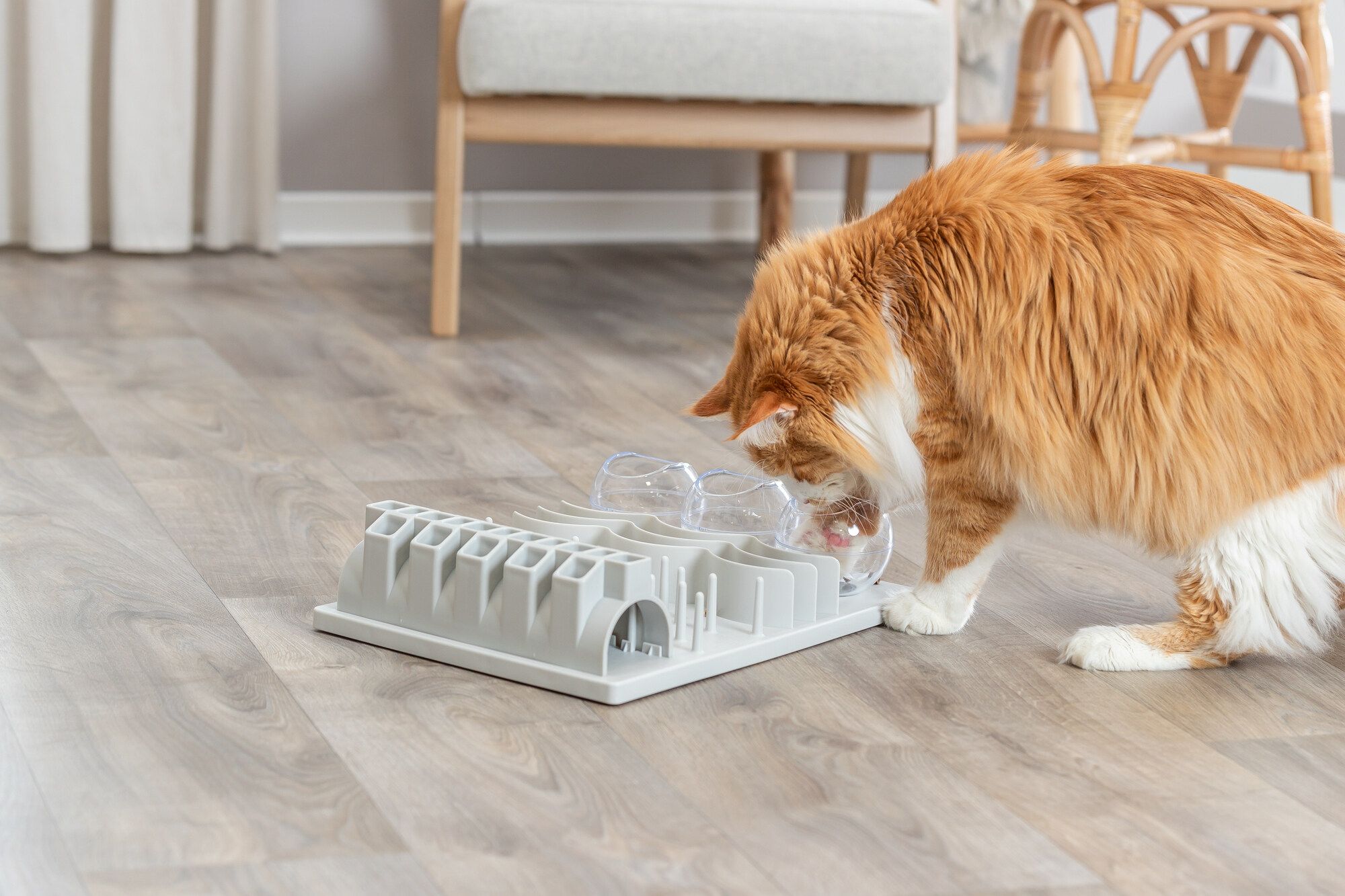 TRIXIE Cat Activity Fun Board XXL, 30 × 40 cm