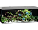 Vorschaubild JUWEL Rio 450 LED grau Aquarium