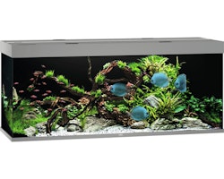 JUWEL Rio 450 LED grau Aquarium