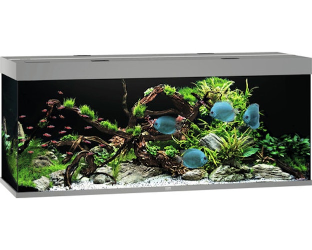 JUWEL Rio 450 LED grau Aquarium
