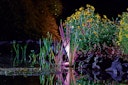 Vorschaubild Oase ProfiLux Garden LED RGB