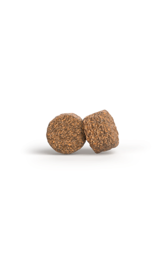 Josera A/S Mother&Puppy Salmon&Ri Hundetrockenfutter