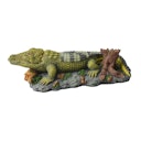 Vorschaubild aquatlantis Krokodil