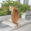 Vorschaubild TRIXIE Liegeplatte für Fensterbänke 51x36cm lichtgrau