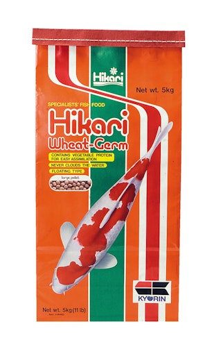 Hikari Wheat-Germ Large Koifutter