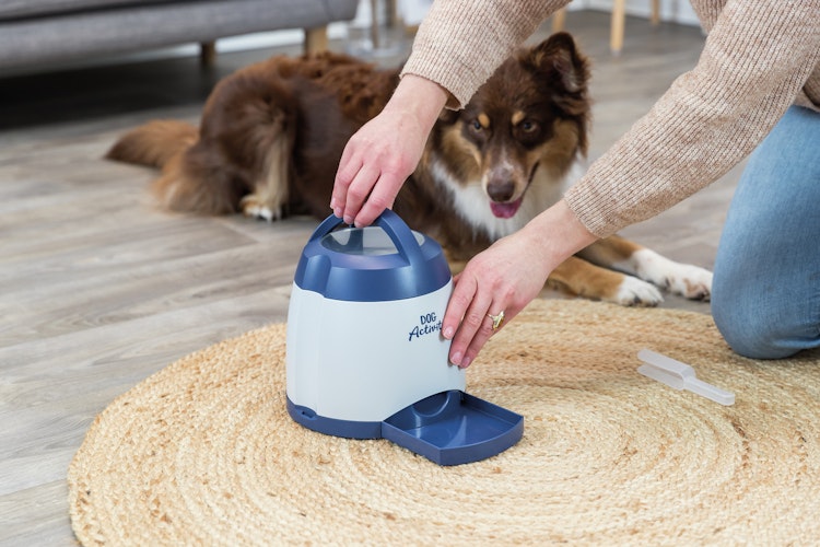 TRIXIE Dog Activity Memory Trainer ø 20 x 24 cm Hundespielzeug