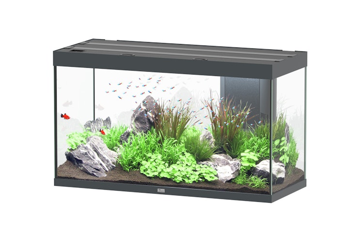 Aquatlantis Sublime 335 Anthrazit Aquarium-Set