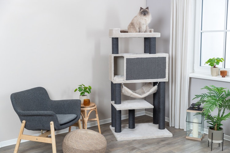 TRIXIE Kratzbaum XXL Maciel