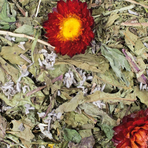 JR FARM Grainless Plus 100g Kleintiersnack