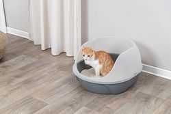 TRIXIE Katzentoilette Simao, hoher Rand, 48 × 30 × 58 cm, grau