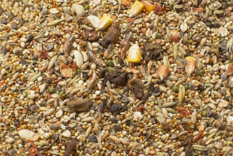 JR FARM Hamster-Schmaus 600g Kleintierfutter