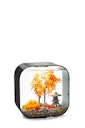 Vorschaubild biOrb Decor Set 30L Herbst (55027)