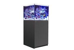 Red Sea REEFER™ 200 System G2+