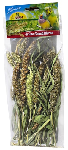 JR FARM Grüne Senegalhirse 50g Vogelsnack