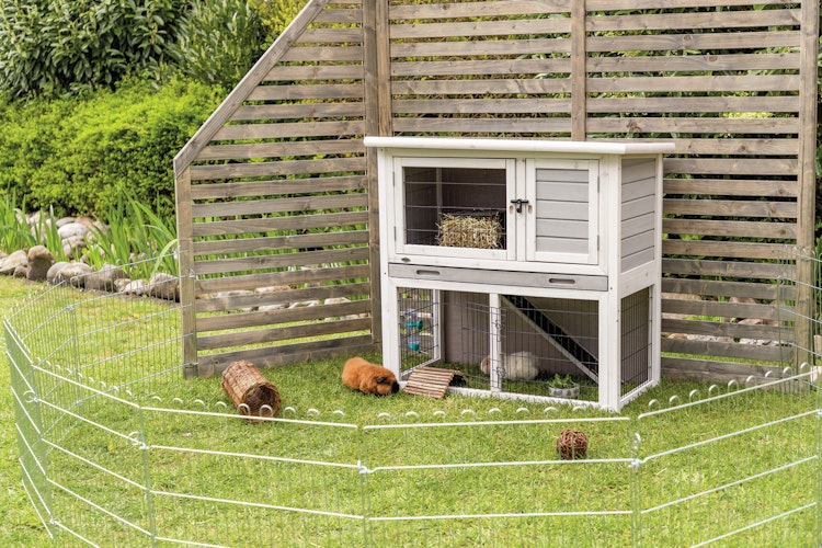 TRIXIE natura Kleintierstall mit Freilaufgehege 104x52x97cm grau/weiß