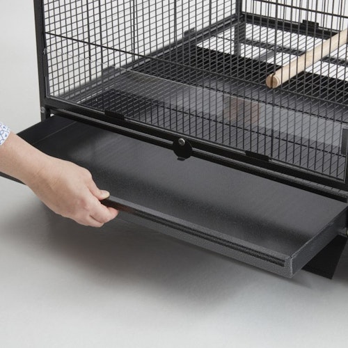 SAVIC Tasmania 120 auf Rollen