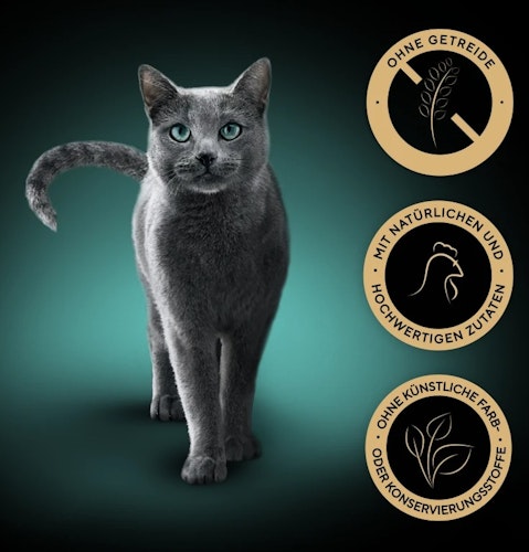 Sheba Seasons Collection wechselnde Sorten 22x85 g