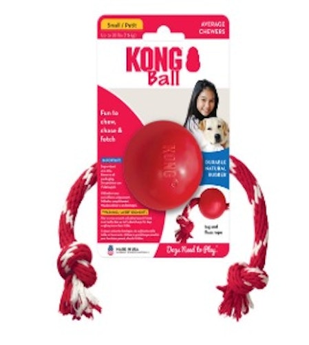 KONG Dog-Toy Mixpaket Nr.4 S Hundespielzeug
