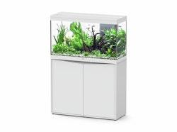 Aquatlantis Splendid 200 Weiß Kombi100x40cm Aquarium mit Unterschrank