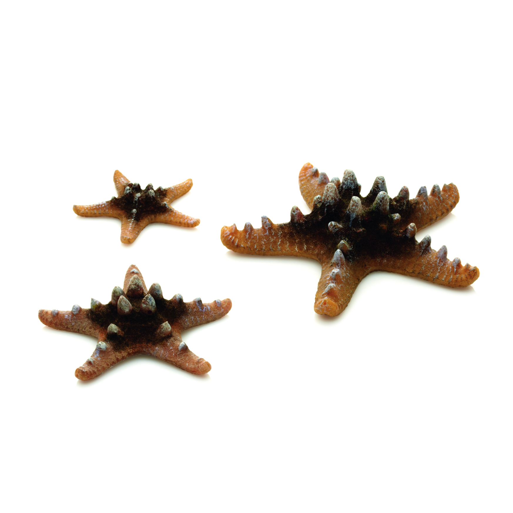 biOrb Seestern Set 3 natural