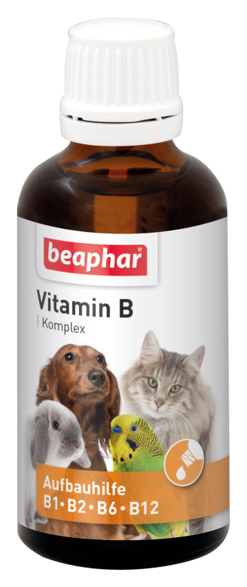 beaphar Vitamin-B Komplex 50ml Nahrungsergänzung für Hunde