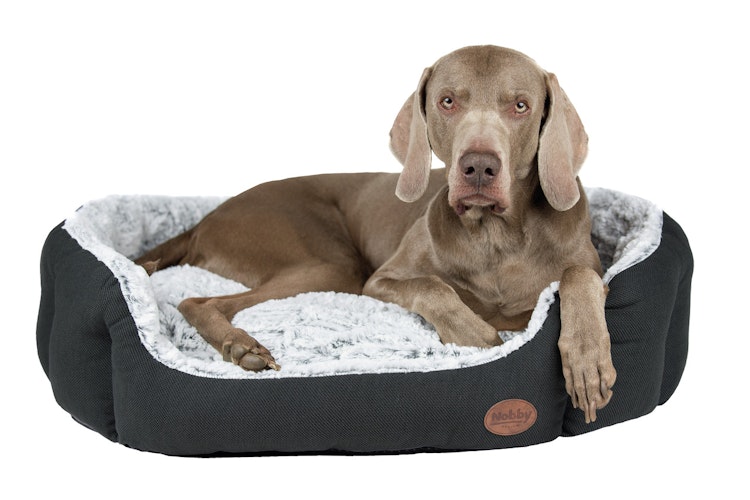 Nobby Komfortbett CACHO 65 x 57 x 22cm