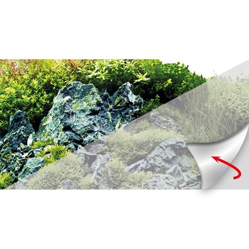 HOBBY Fotorückwand "Frosty" selbstklebend Aquariendekoration