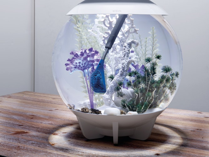 biOrb Multi-Reiniger blau