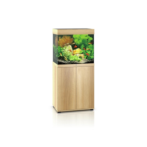 JUWEL Lido 120 LED Aquarium mit Unterschrank