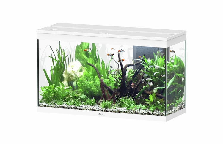 aquatlantis Splendid 200 weiß Aquarium mit Unterschrank