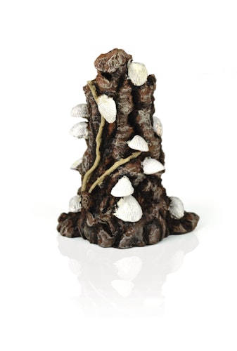 biOrb Muschelbaumstumpf Ornament weiß (46146)