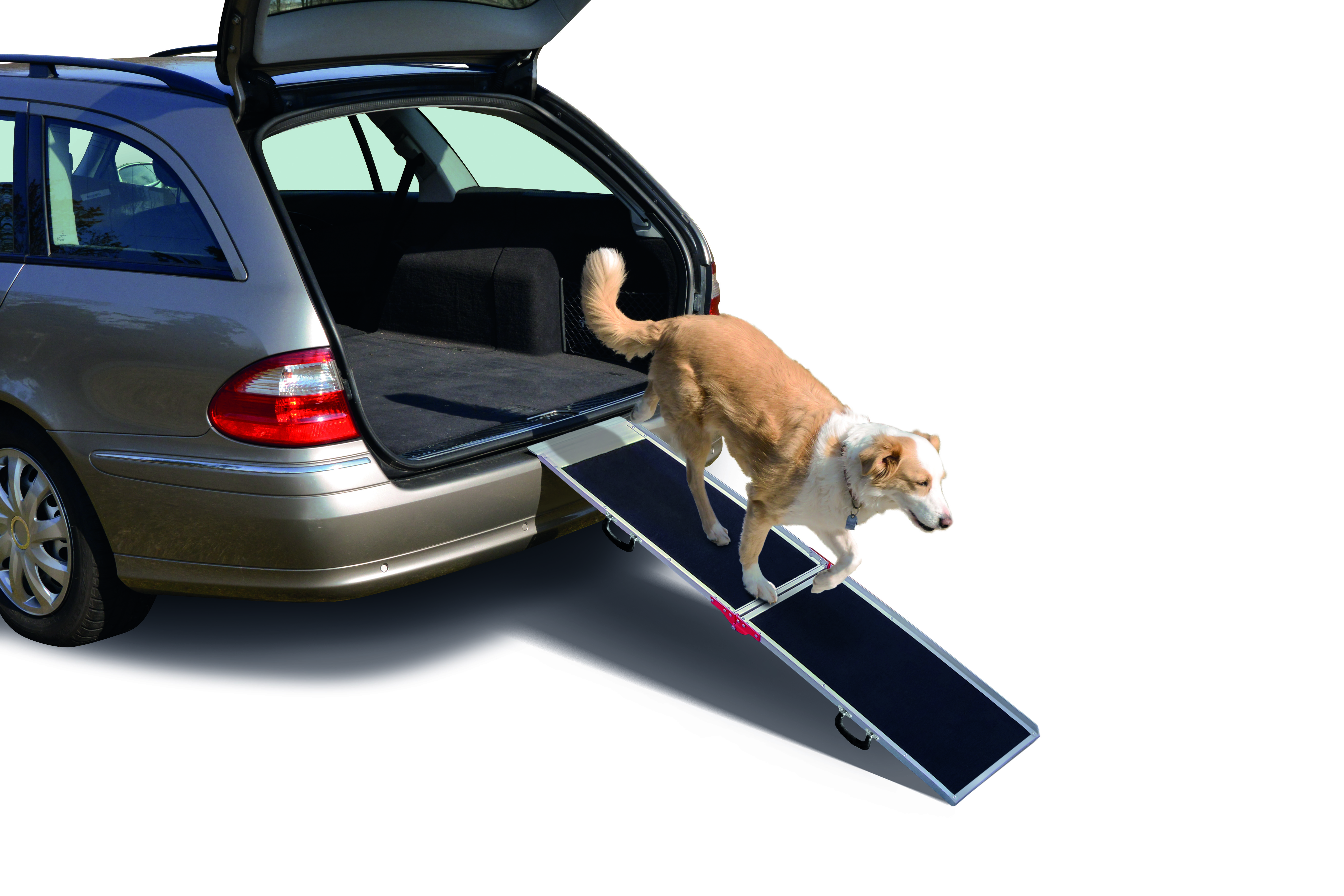 NOBBY Alu Hunderampe L x B x H: 152 x 36 x 3,5 cm