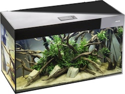 GLOSSY CUBE 50 ST Set D&N schwarz Aquarium