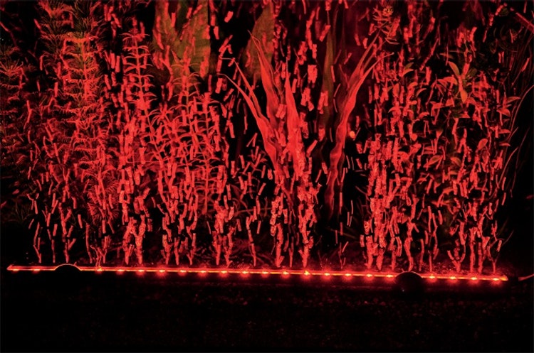 HOBBY Bubble Air LED colour & moon Aquarienbeleuchtung