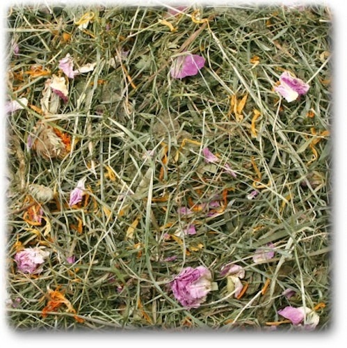 JR FARM Nager Sommerwiese 500g Raufutter für Kleintiere