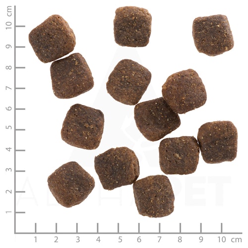 WOLFSBLUT Wild Duck Large Breed Ente mit Kartoffeln Hundetrockenfutter