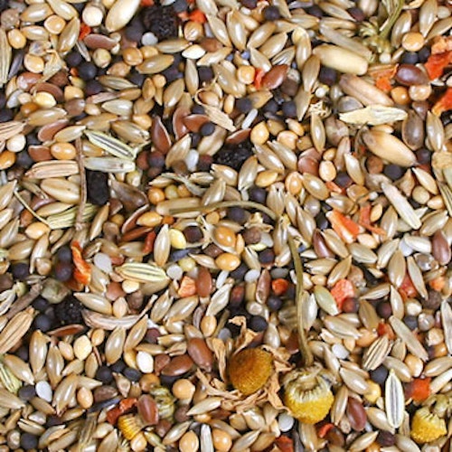 JR FARM Individual Kanarien Vogelfutter