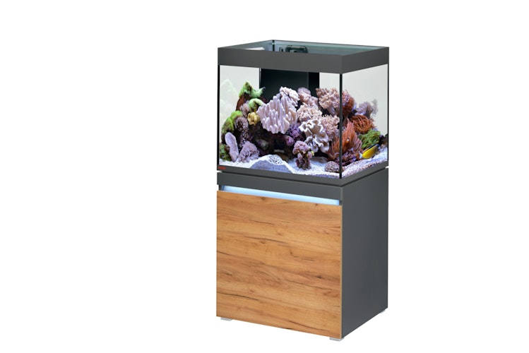 EHEIM incpiria reef 230 Meerwasser-Riff-Aquarium mit Unterschrank