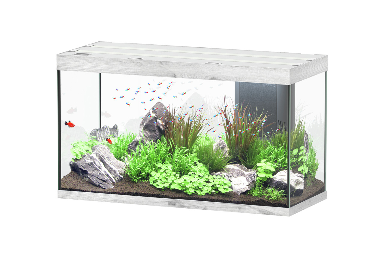 Aquatlantis Sublime 335 Esche Weiß Aquarium-Set