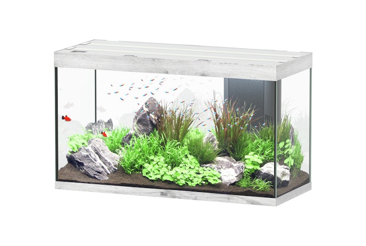 Aquatlantis Sublime 335 Esche Weiß Aquarium-Set