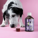 Vorschaubild Tierliebhaber Chillout Saft